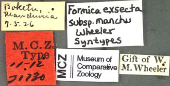 Media type: image;   Entomology 21730 Aspect: labels